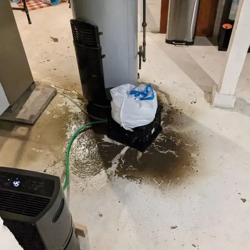Sewage Backup Cleanup Service in Cartersville, GA